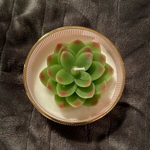Viral Succulent Candle